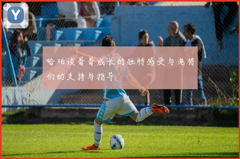 哈珀谈哥哥成长的独特感受与老将们的支持与指导